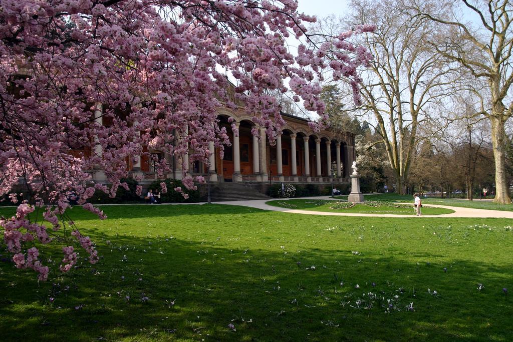 Apparthaus Pfeifer Baden-Baden Exteriör bild